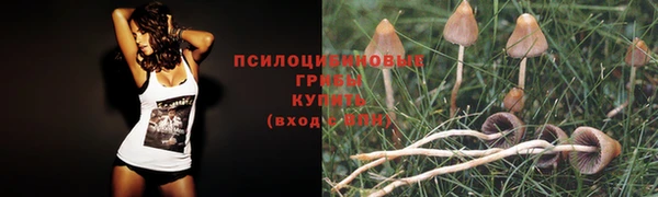 винт Тайга