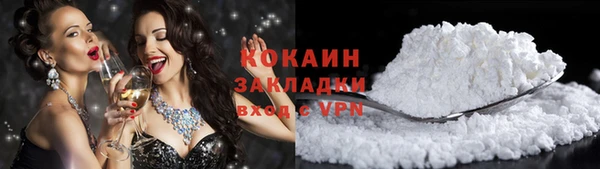 винт Тайга