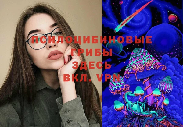прущий лед Вяземский