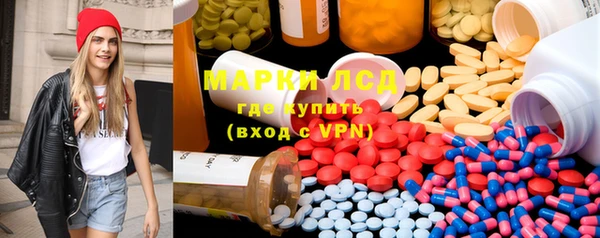 прущий лед Вяземский