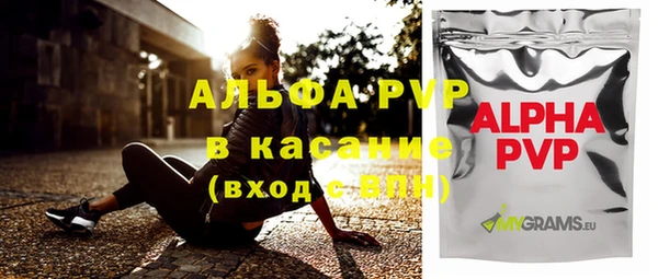 прущий лед Вяземский