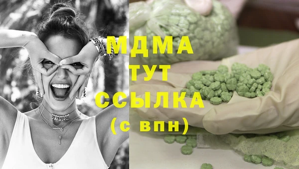 прущий лед Вяземский