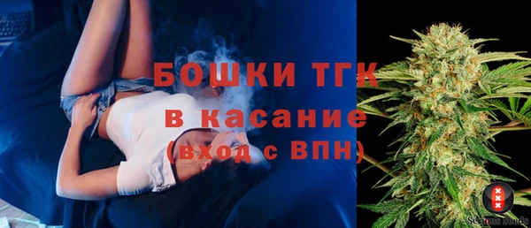 винт Тайга