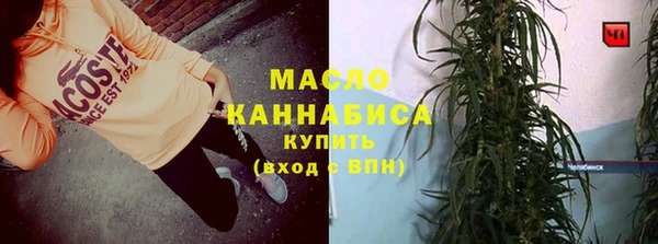 прущий лед Вяземский