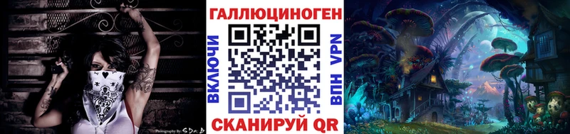 купить закладку  Петровск-Забайкальский  МЕГА   Галлюциногенные грибы Cubensis 